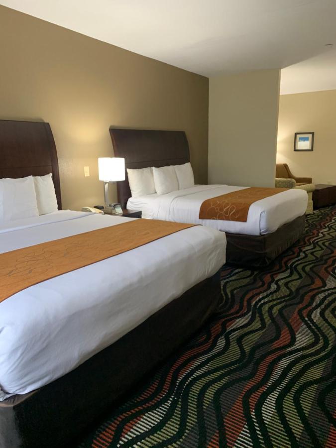 Comfort Suites Beaumont I-10 Εξωτερικό φωτογραφία